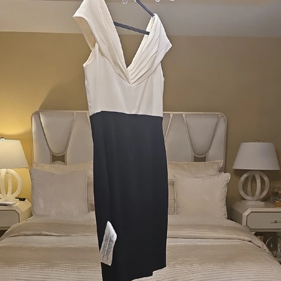 Tadashi Shoji Cream and Black Midi Dress - Picture 5 of 13